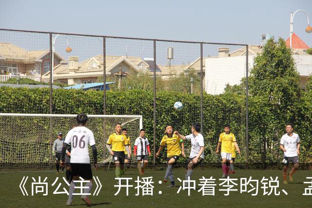 《尚公主》开播：冲着李昀锐、孟子义二搭追剧，却被女主“二婚不洁”的设定吸引，像主角光环的婉宁长公主