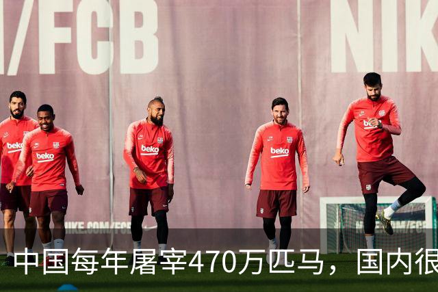 中国每年屠宰470万匹马，国内很少人吃，马肉都去哪了？