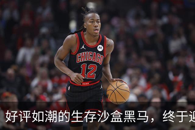 好评如潮的生存沙盒黑马，终于迎来了1.0正式版本