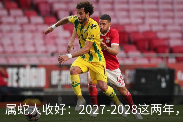属蛇人收好：2027-2028这两年，日子要换写法了