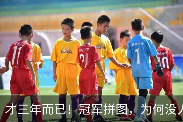 才三年而已！冠军拼图，为何没人要了？