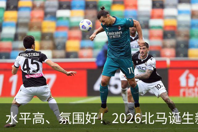 水平高、氛围好！2026北马诞生新纪录，赛事组织获选手认可
