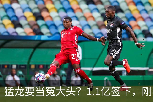 猛龙要当冤大头？1.1亿签下，刚打两场就养伤，快船被他套路了7年