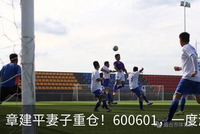 章建平妻子重仓！600601，一度涨停