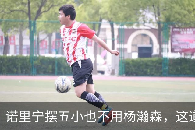 诺里宁摆五小也不用杨瀚森，这道用人门槛为何跨不过？