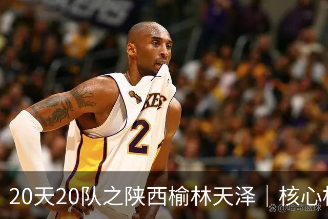 20天20队之陕西榆林天泽｜核心框架保留，锋线迎来新面孔