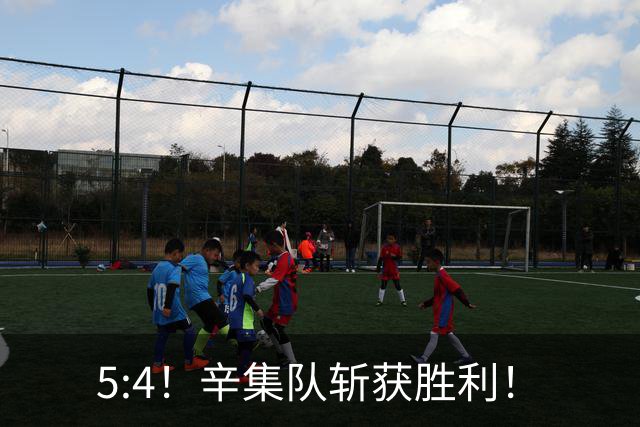 5:4！辛集队斩获胜利！